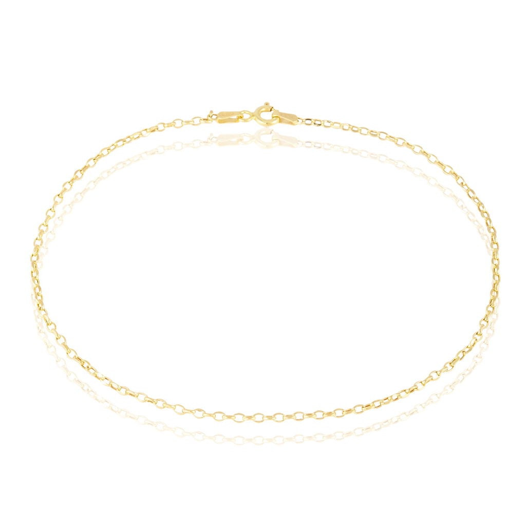Cha&icirc;ne De Cheville Jaiden Or Jaune - Cha&icirc;nes de cheville Femme | Histoire d&rsquo;Or