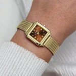 Montre Cluse Gracieuse Mini Marron - Montres &eacute;tanches Femme | Histoire d&rsquo;Or
