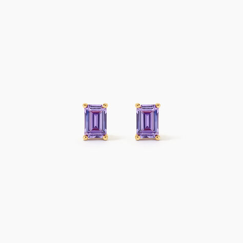 Boucles D'Oreilles Puces Emilian Argent Dor&eacute; A L'Or 750/1000 Oxyde De Zirconium - Boucles d'oreilles empierr&eacute;es Femme | Histoire d&rsquo;Or
