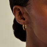 Cr&eacute;oles Beauregard Argent Dor&eacute; A L'Or 750/1000 - Cr&eacute;oles fantaisie Femme | Histoire d&rsquo;Or