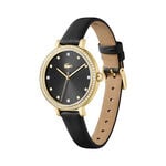 Montre Lacoste Riga Noir - Montres &eacute;tanches Femme | Histoire d&rsquo;Or