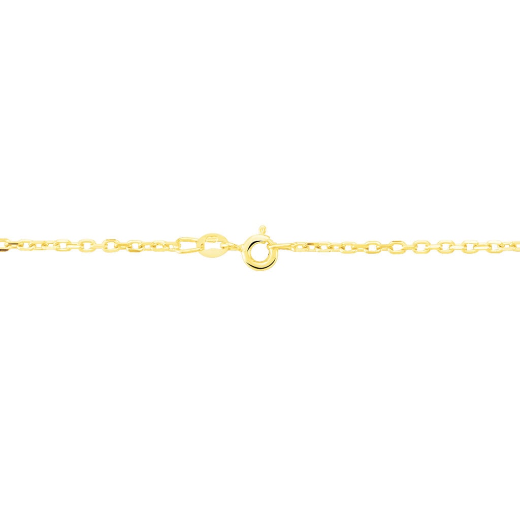 Cha&icirc;ne Igoa Maille For&ccedil;at Diamantee Or Jaune - Chaines Unisex | Histoire d&rsquo;Or