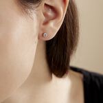 Boucles D'oreilles Puces 4 Griffes Or Blanc Diamant Synthetique - Boucles d'oreilles 18 carats Femme | Histoire d&rsquo;Or